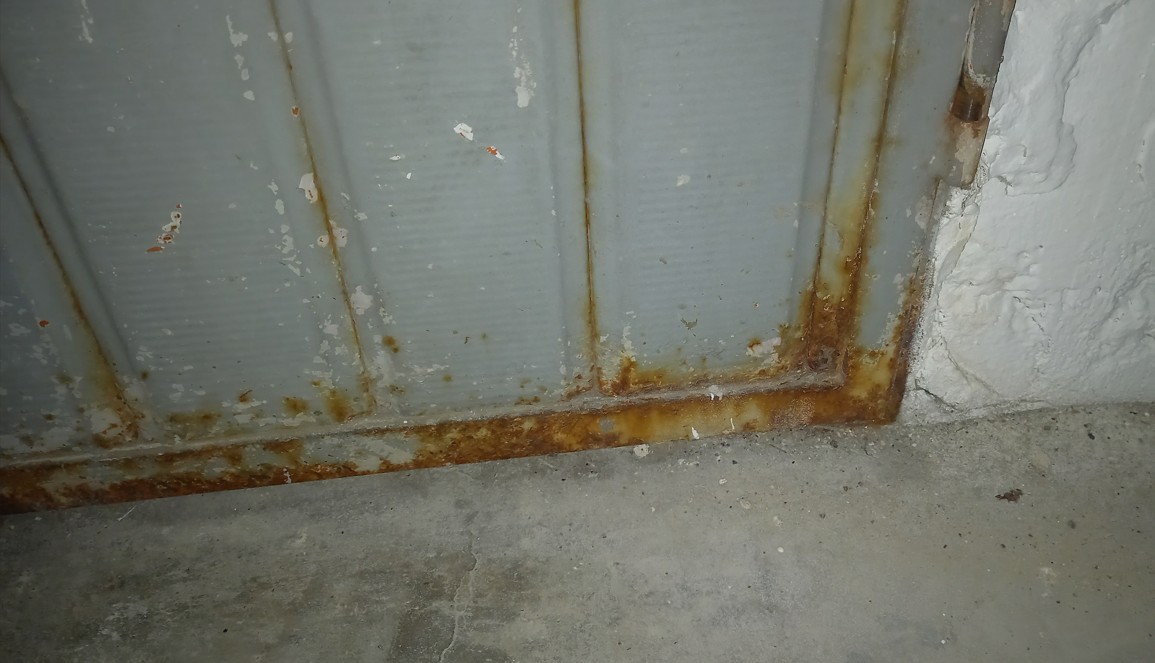 Immagine 2026-02-21 183830.jpg