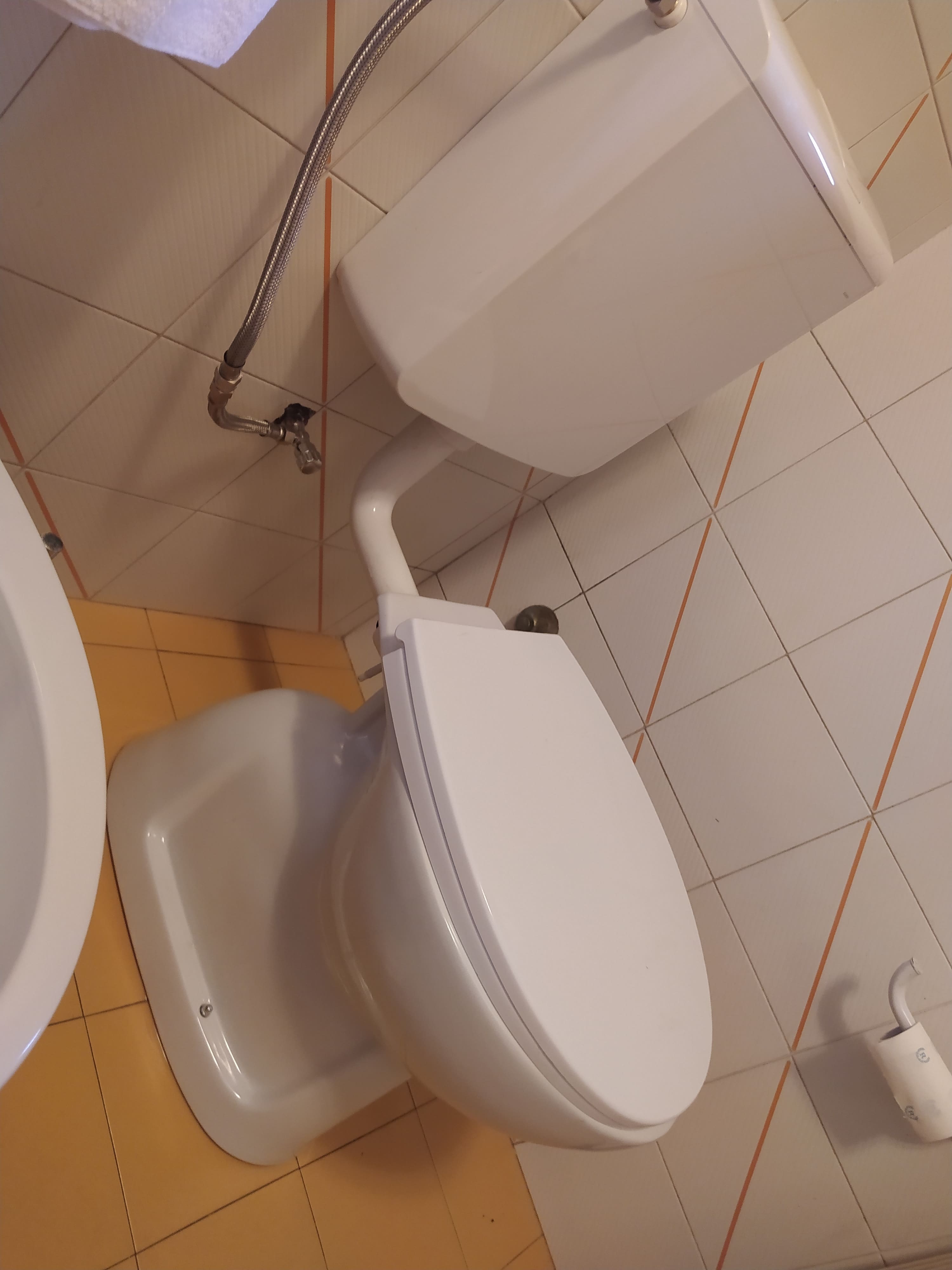 wc1 (1).jpg