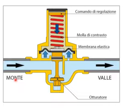 Immagine 2026-06-12 101450.png