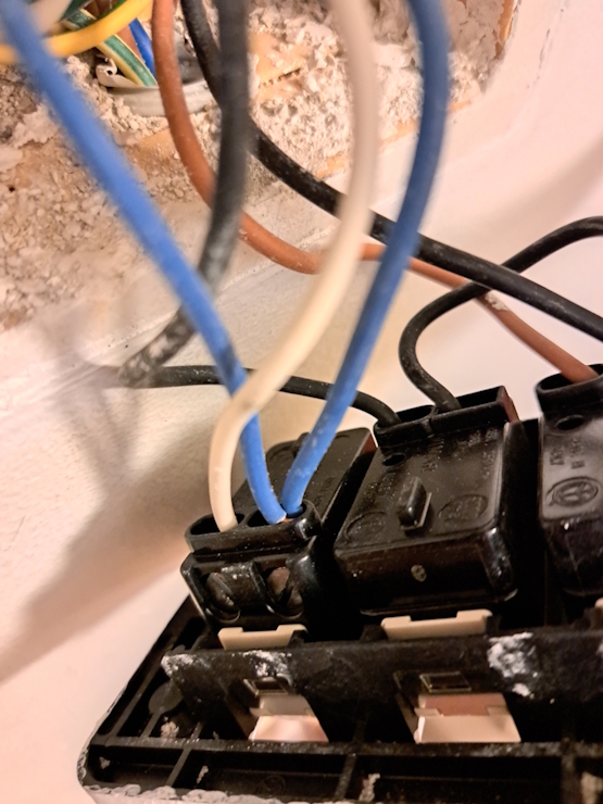 20260719_135253.jpg