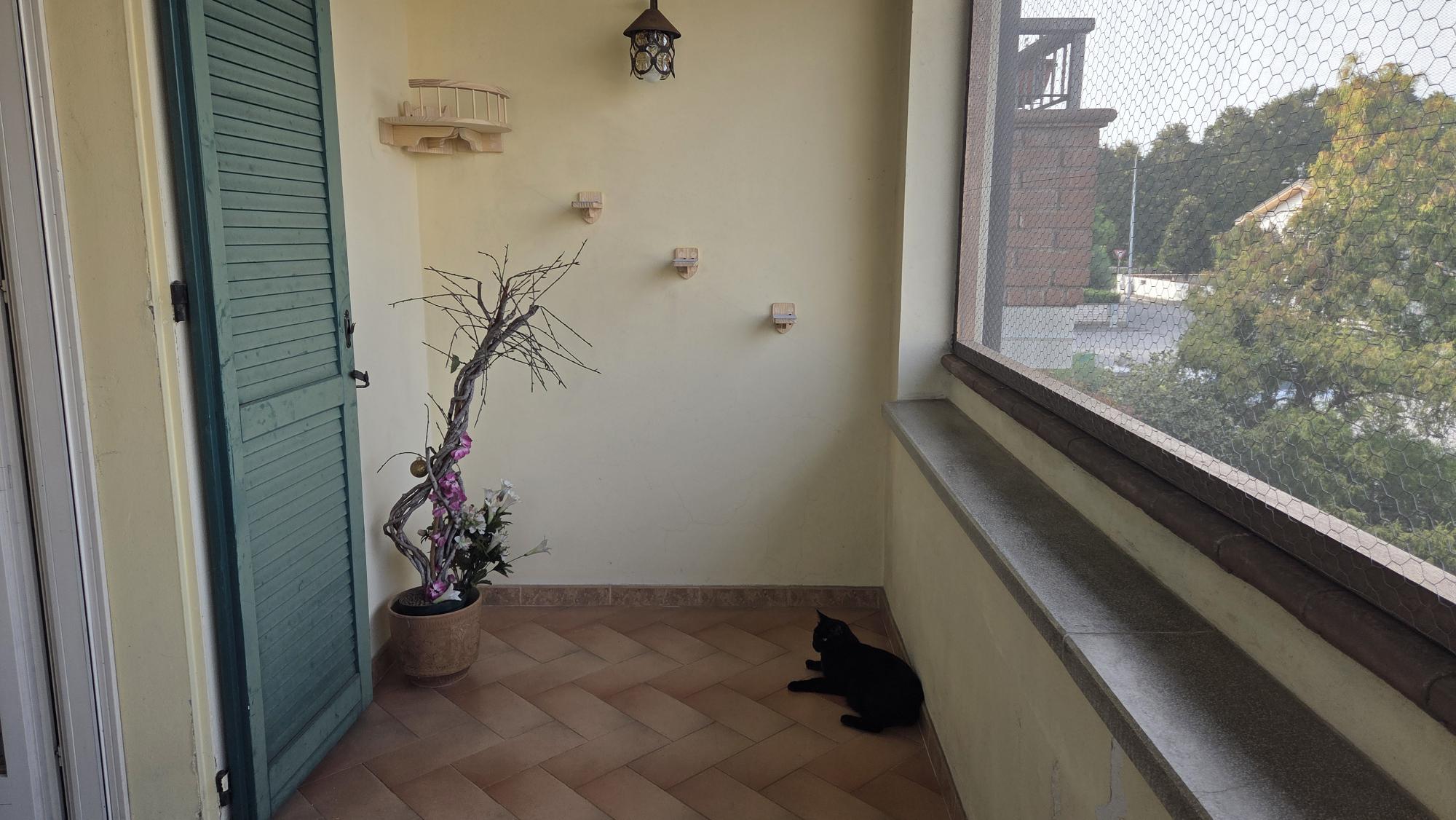 shared image (7).jpeg