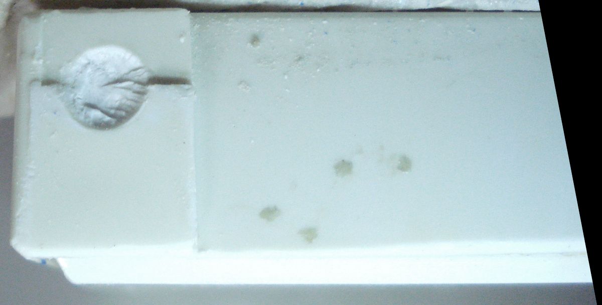 DSC01962_2.JPG