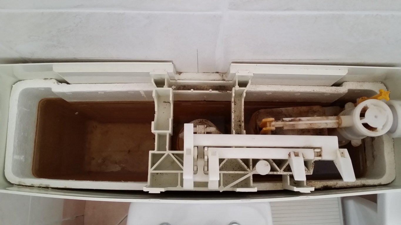 Vaschetta meccanismo-1 (FILEminimizer).jpg