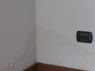 RSCN5491 - Copia.JPG