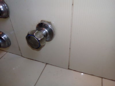 IMG_20161022_155144 1 1_opt.jpg