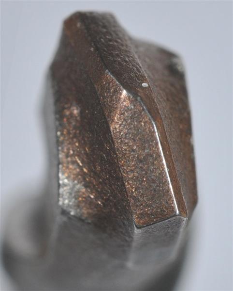 widia (Medium).jpg