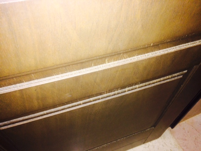 FullSizeRender (1).jpg