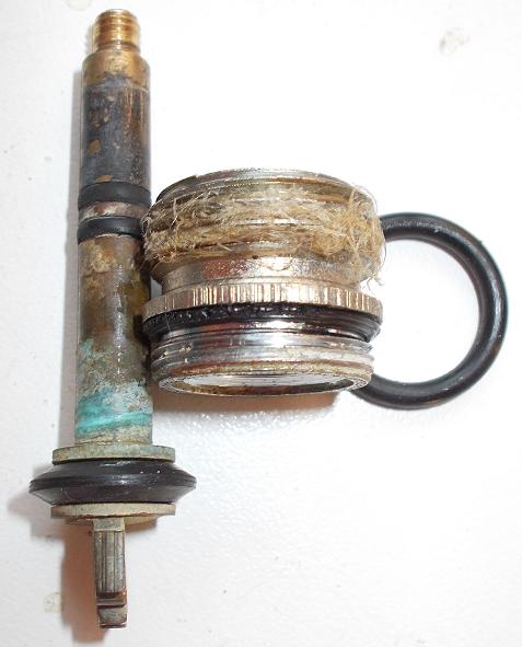 asta T vite esa DSCN1672_2.JPG