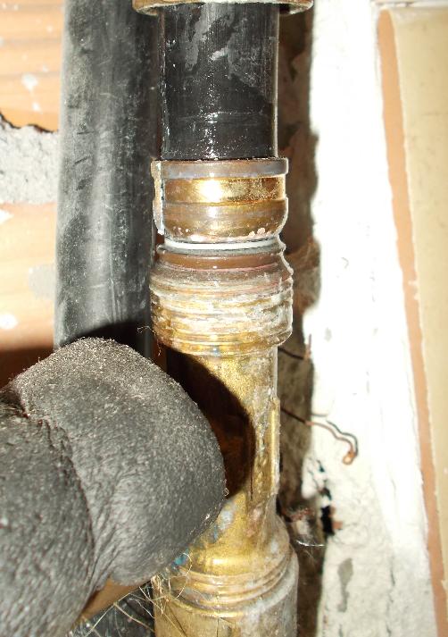 tee perdita DSCN2758_2.JPG