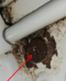 Vite cappa aspirante.png