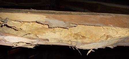 sottotetto travi DSCN3682_2.JPG