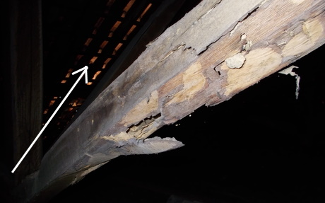 Sottotetto travi DSCN3681_2.JPG