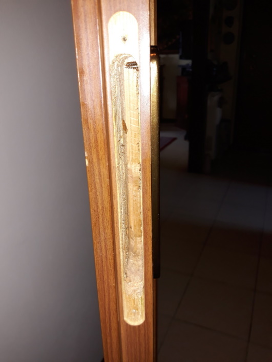 2020-05-30 11.51.18.jpg