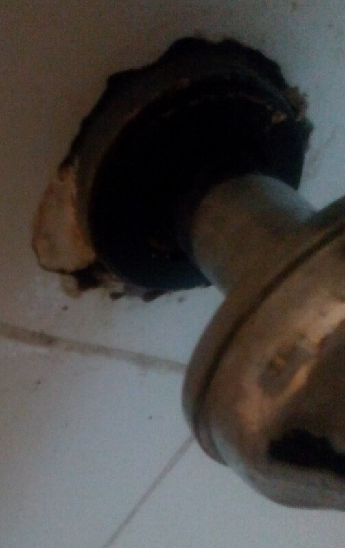 IMG_20200512_163714 (1).jpg