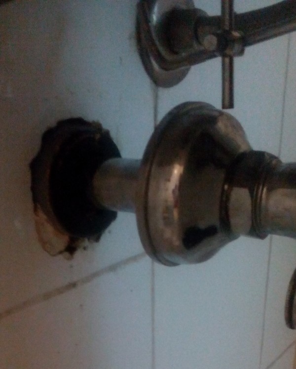 IMG_20200512_163722 (1).jpg