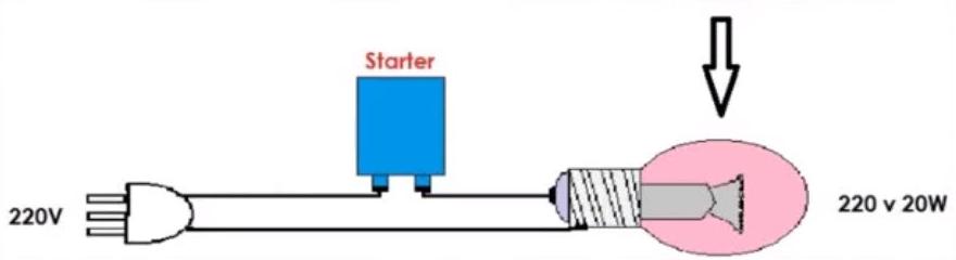 neon starter test.jpg