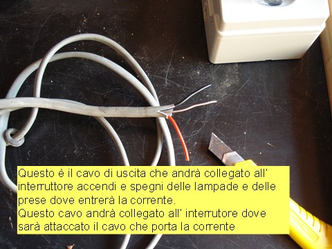 Cavi di usciita dall' interruttore grande.jpg