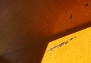 mobile telefono porta tv DSCN3985_2.JPG