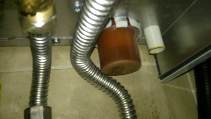 20201114_162104 (Small).jpg