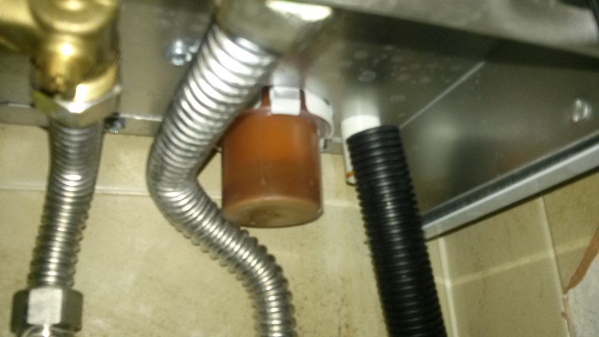 20201114_162138 (Small).jpg