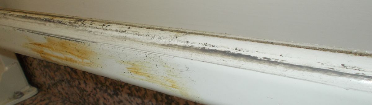 montascale ingrassaggio DSCN4703_2.JPG