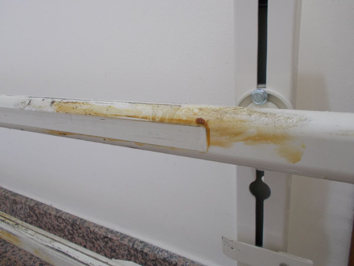 montascale ingrassaggio DSCN4701_2.JPG