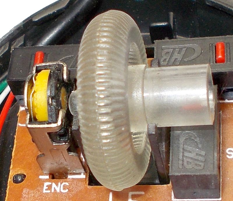 mouse rotella DSCN5713_2.JPG