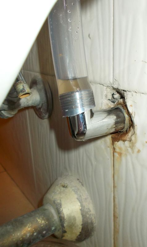 aceto DSCN6071_2.JPG