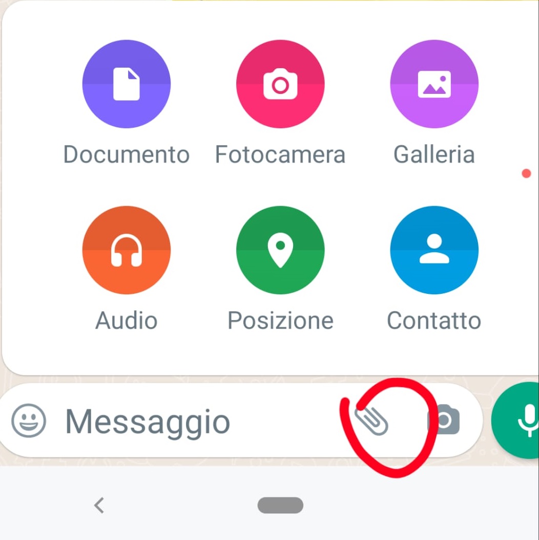 WhatsApp Image 2022-08-29 at 21.15.30.jpeg