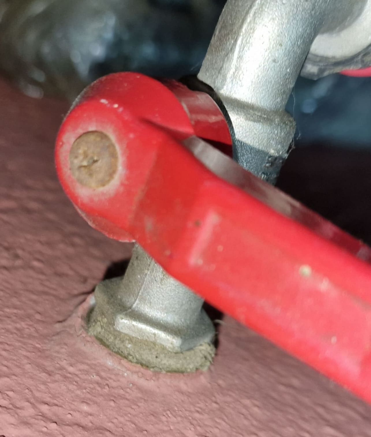 20221014_221457 (1) (1).jpg