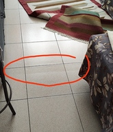 IMG_20230530_123111 (1).jpg