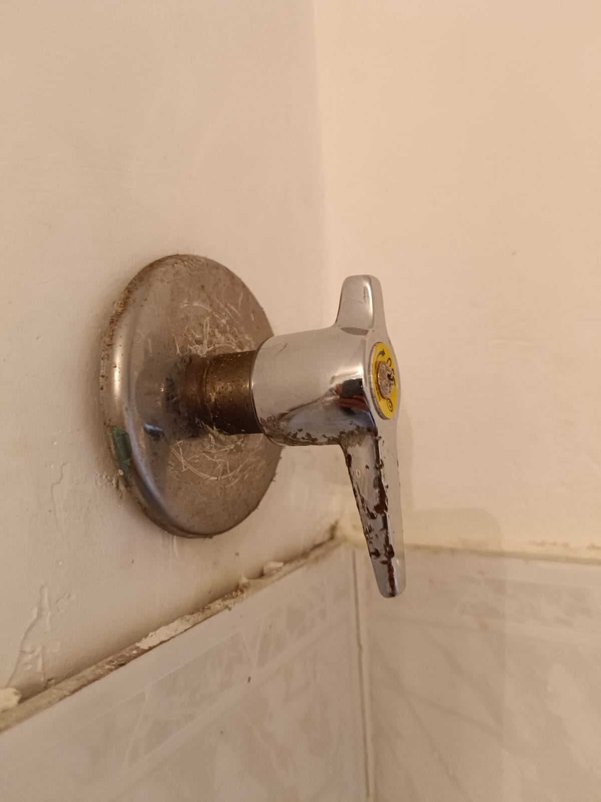 Maniglia valvola.jpg