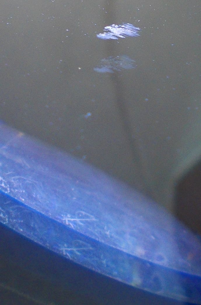 parabrezza scheggiato DSCN0061_2.JPG