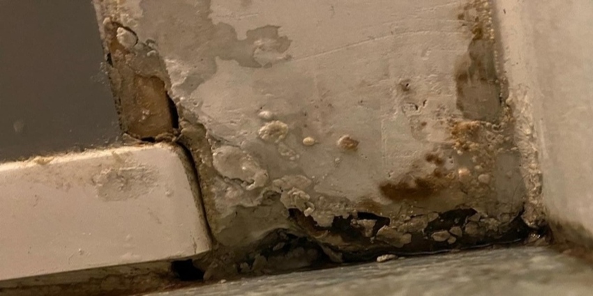 IMG_20240208_232629 (1).jpg