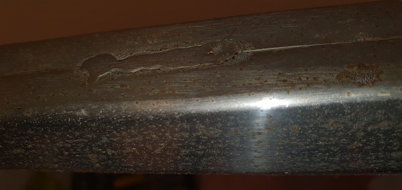 Immagine WhatsApp 2024-02-27 ore 20.12.50_608df5ff.jpg