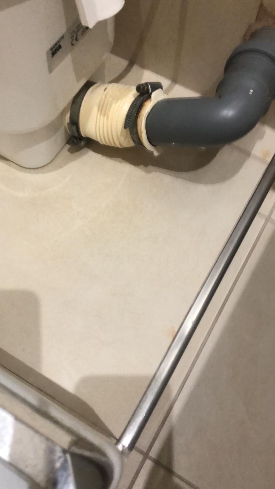 Immagine WhatsApp 2024-08-23 ore 18.12.23_721d0033.jpg