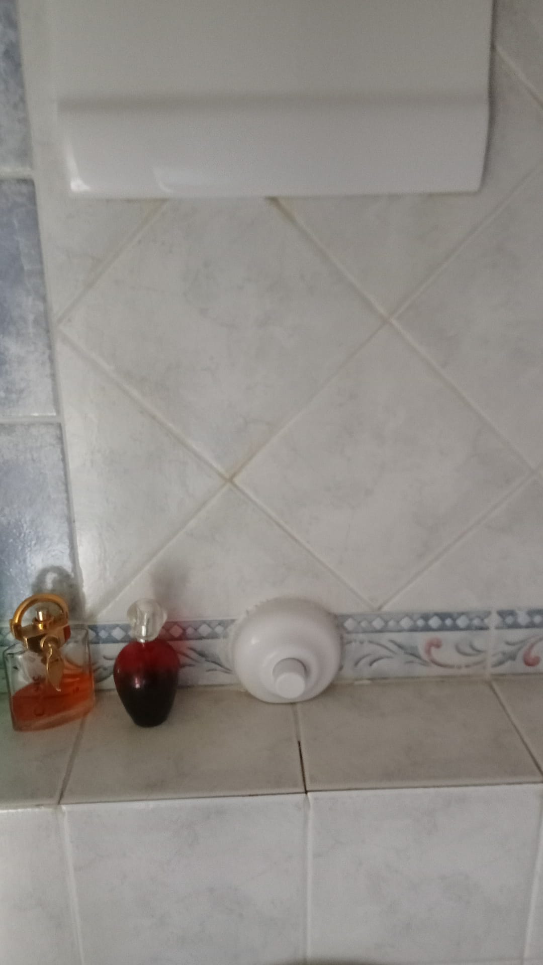 Immagine WhatsApp 2024-09-14 ore 17.25.40_d2da9619.jpg