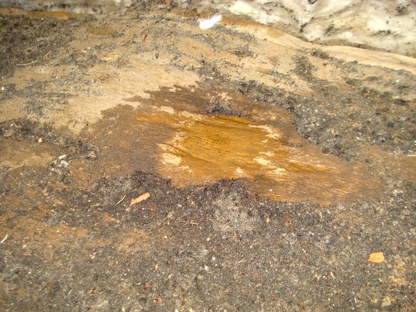 sottotetto infiltrazioni 19.10.24 lato strada DSC00356_2.JPG