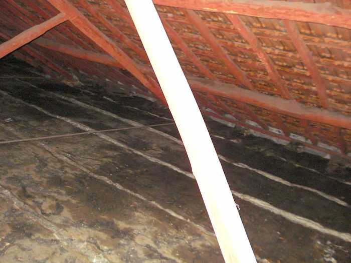 sottotetto infiltrazioni 19.10.24 lato interno sopra cucina  DSC00361_2.JPG