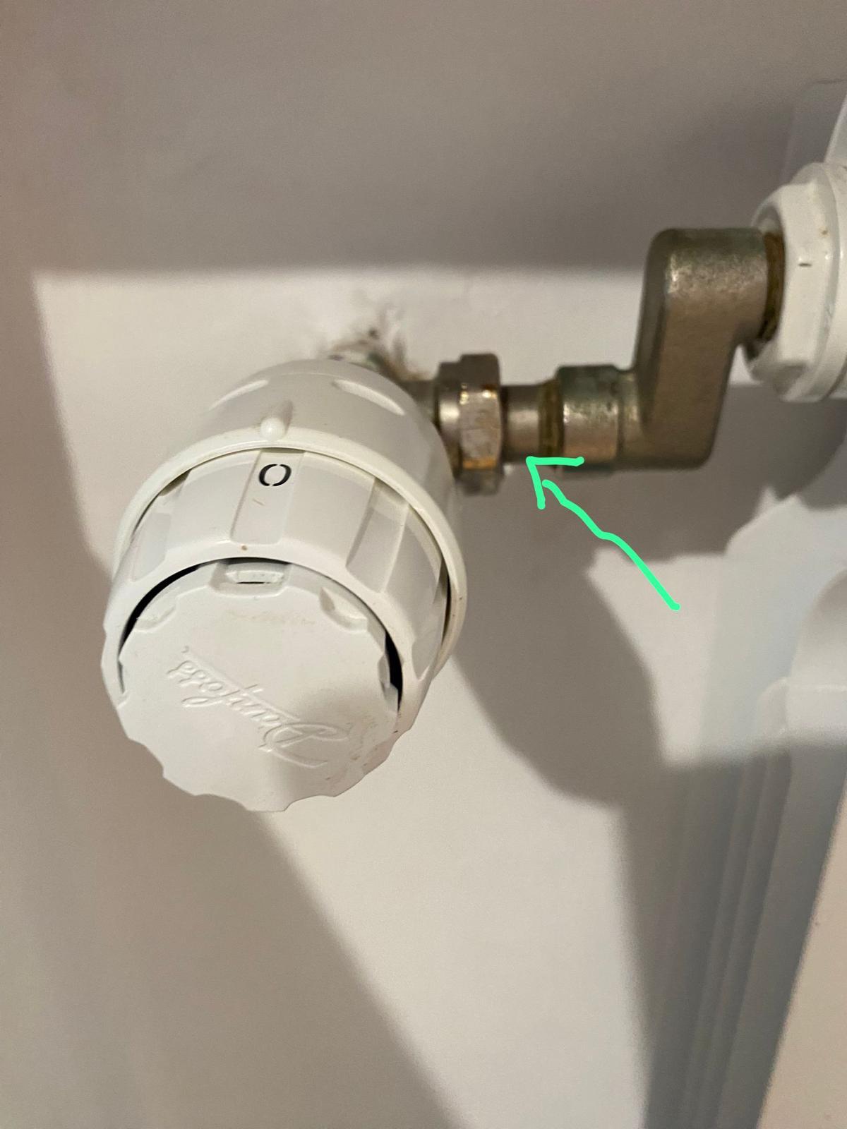 WhatsApp Image 2024-09-06 at 11.43.24.jpeg