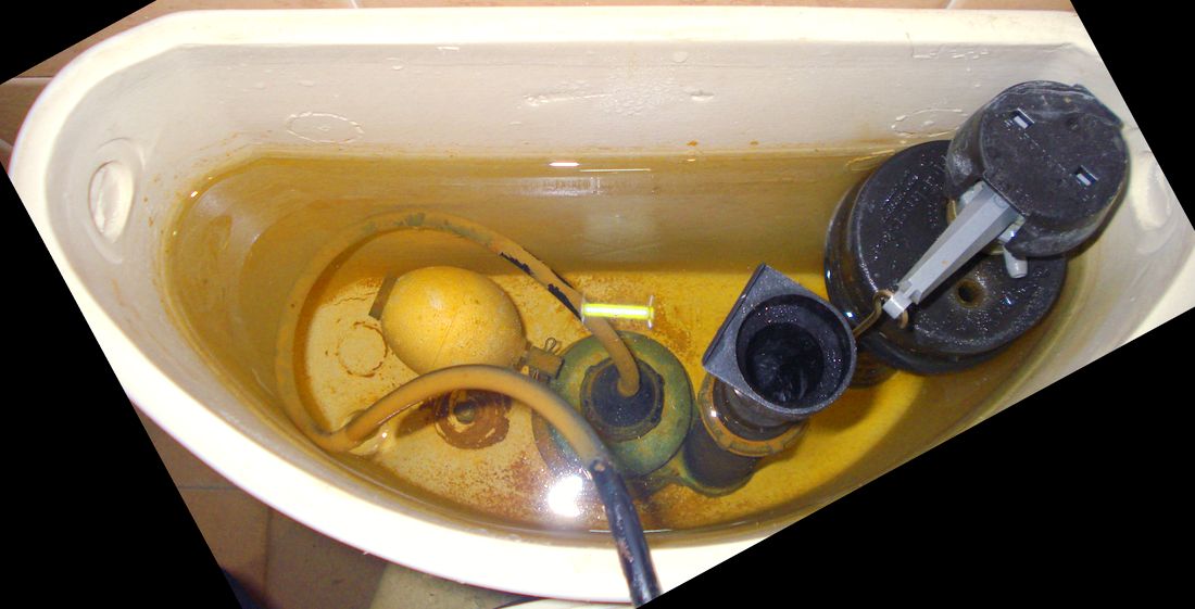 cassetta water DSC00522_2.JPG