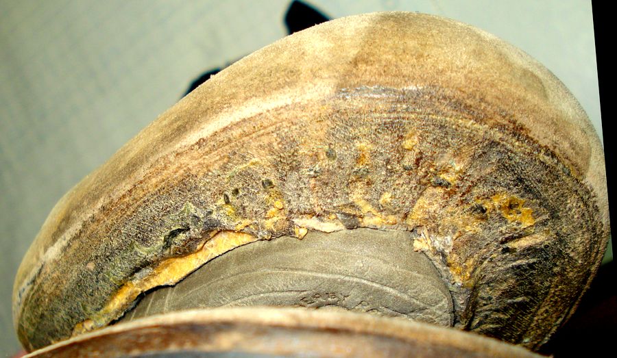 scarpone dx timberland dopo pulizia DSC00637_2.JPG