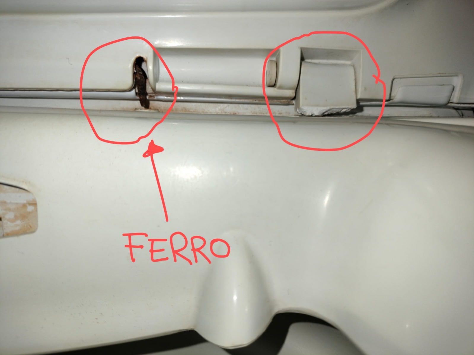 WhatsApp Image 2025-03-25 at 15.25.44.jpg