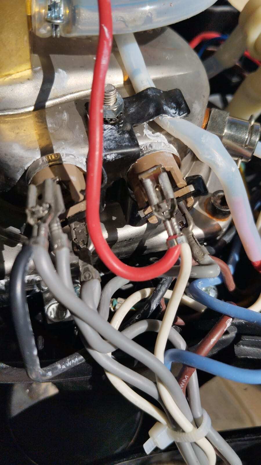 WhatsApp Image 2025-05-02 at 10.35.04.jpg