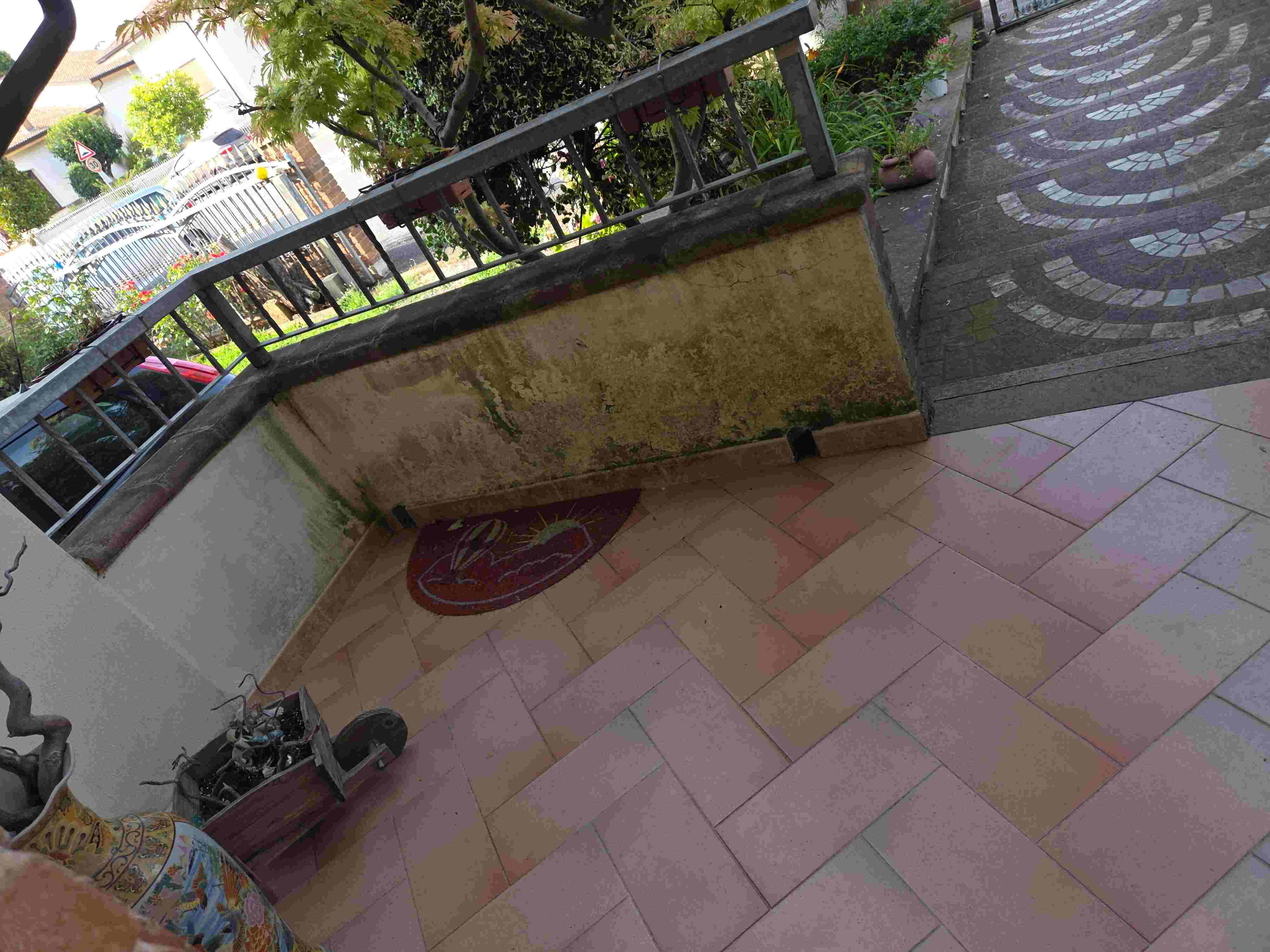 1000056181_11zon (1).jpg