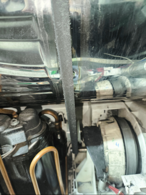 Adobe Express - file.jpg