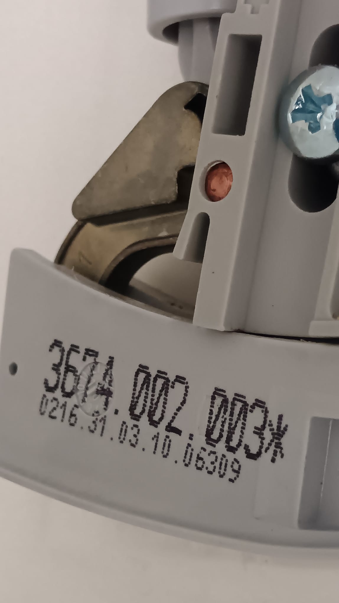 WhatsApp Image 2024-10-15 at 14.48.23.jpeg